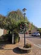 20240919_113740 (1).jpg